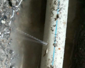 盐亭卫生间测漏水多少钱